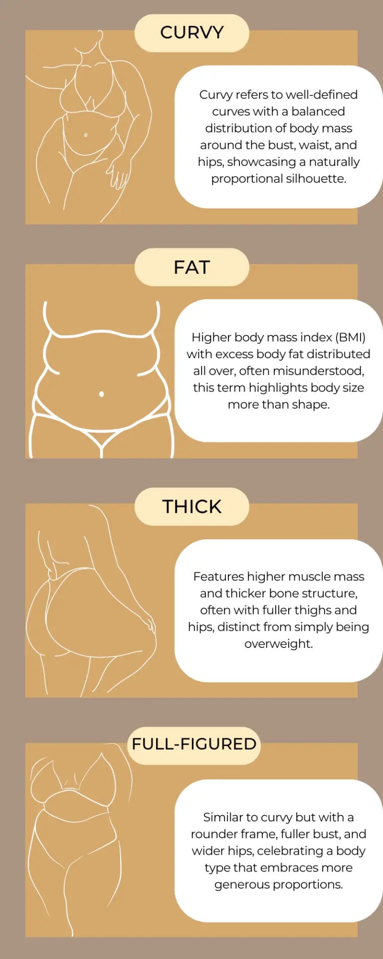 An infographic displaying four body types: Curvy, Fat, Thick, and Full-Figured. Each section is illustrated with minimalistic line art of a woman and accompanied by a brief description. Curvy shows balanced body mass, Fat highlights a higher BMI, Thick features higher muscle mass and bone structure, and Full-Figured describes a rounder frame with fuller proportions. The design uses warm tones and clean layout for easy understanding.